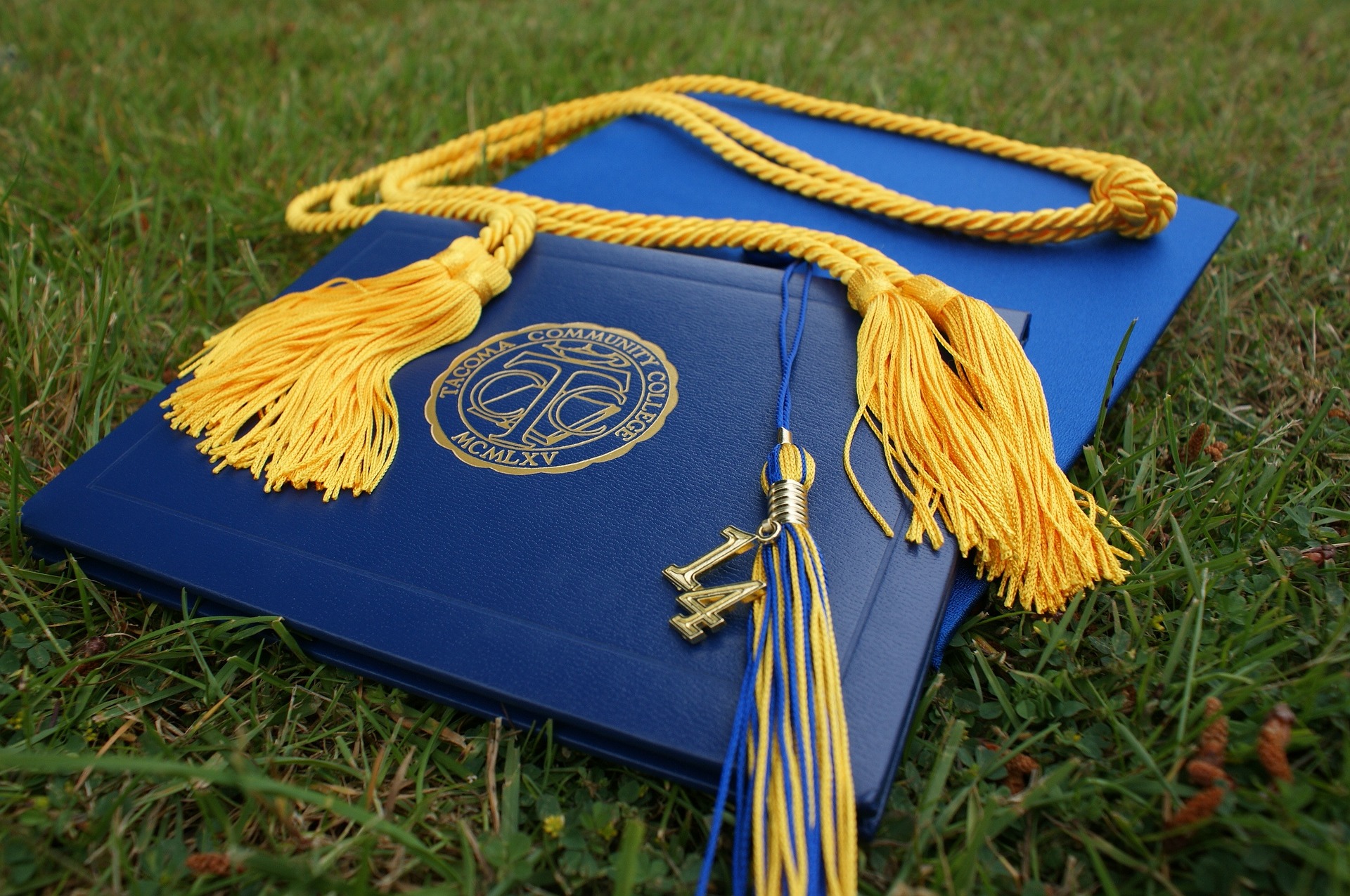graduation cap, graduate, diploma, degree