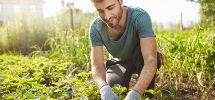 Working on a Farm