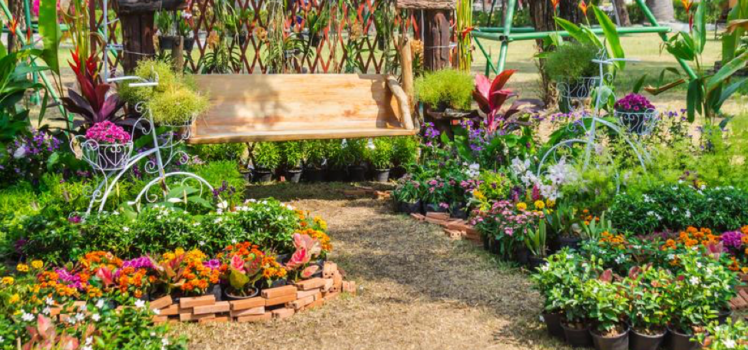 Beautiful Garden